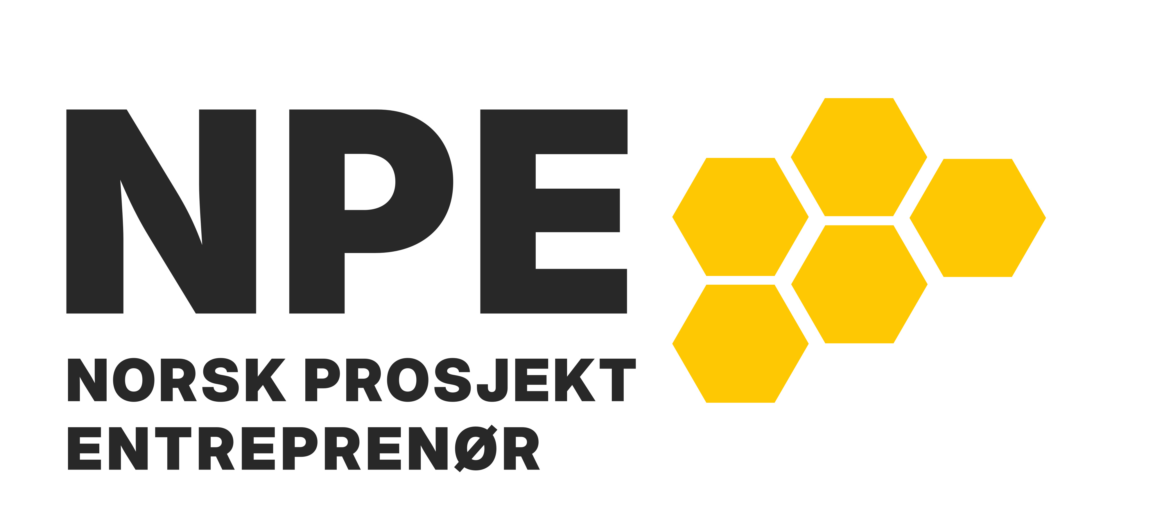 NPE – Norsk Prosjekt Entreprenør